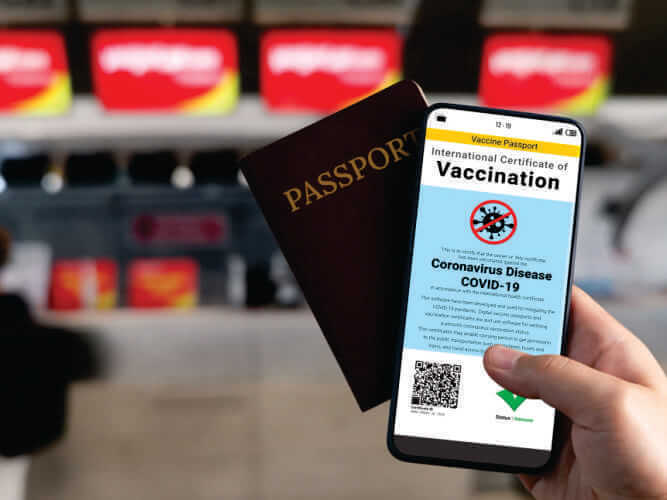 Como emitir o certificado de vacinação contra febre-amarela pela internet CIVP