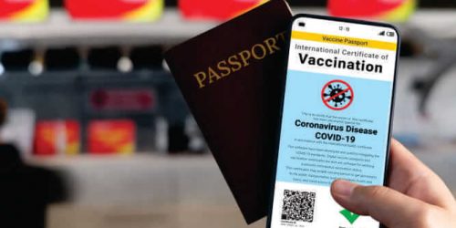 Como emitir o certificado de vacinação contra febre-amarela pela internet CIVP